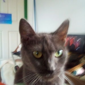 Meet your Posher, Beamer